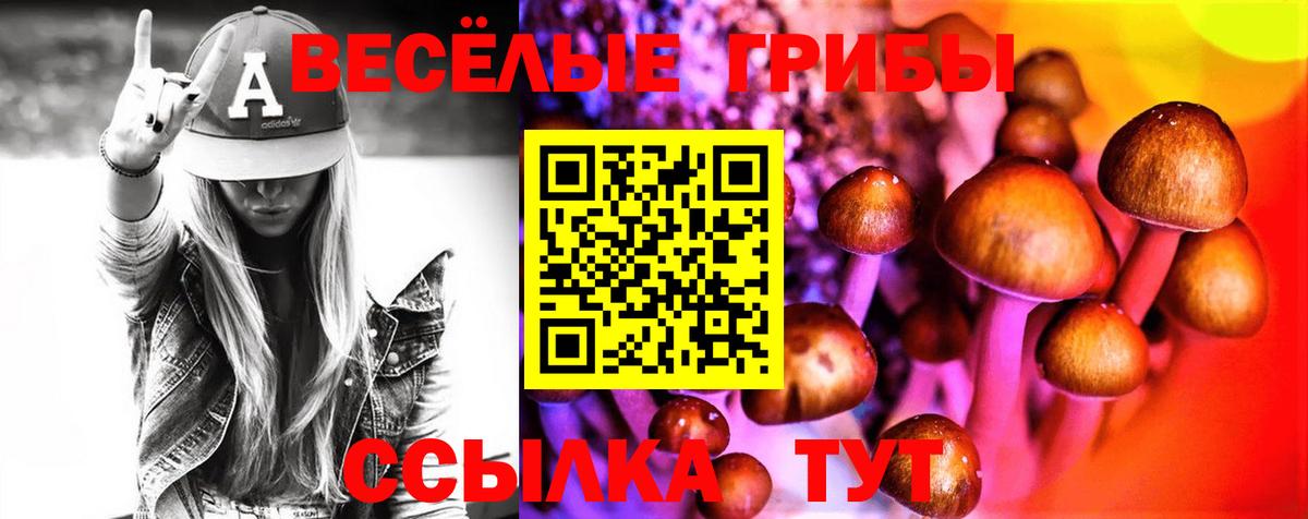 где купить наркотик  Галлюциногенные грибы GOLDEN TEACHER  Вход с VPN  Псилоцибиновые грибы Cubensis  Котовск 